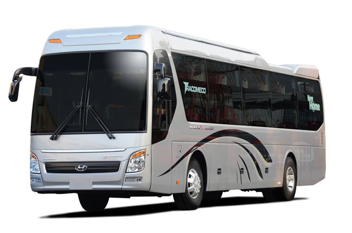 Thuê xe du lịch 45 chỗ đi Cát Bà dịp Tết